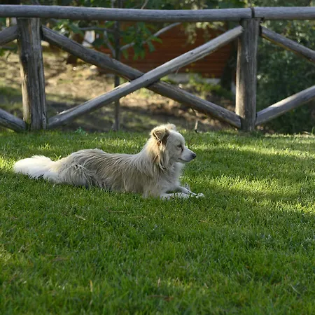 Bauernhof La Gioiosa Cleto