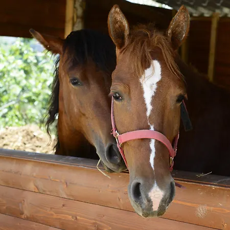 Alloggio per agriturismo La Gioiosa *