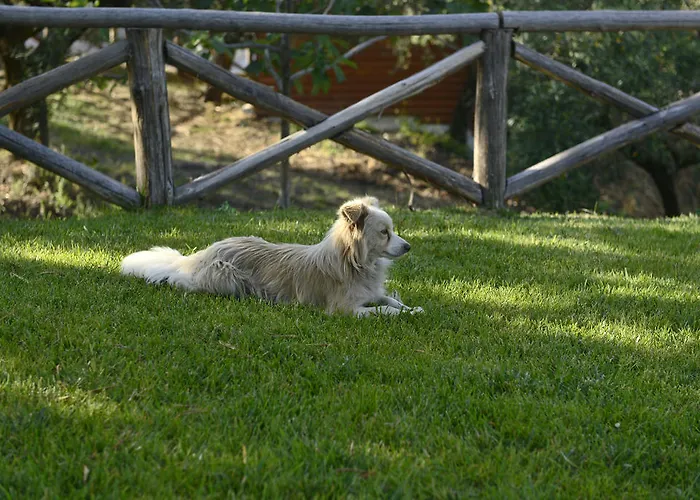 בית חווה La Gioiosa Cleto